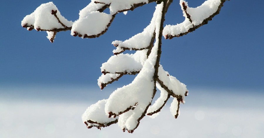 Laboratori didees. La neu