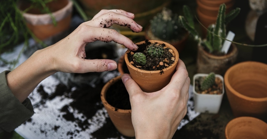 Taller de jardineria Plantem desitjos amb motiu de La Marat, a crrec de Gemma Tafalla