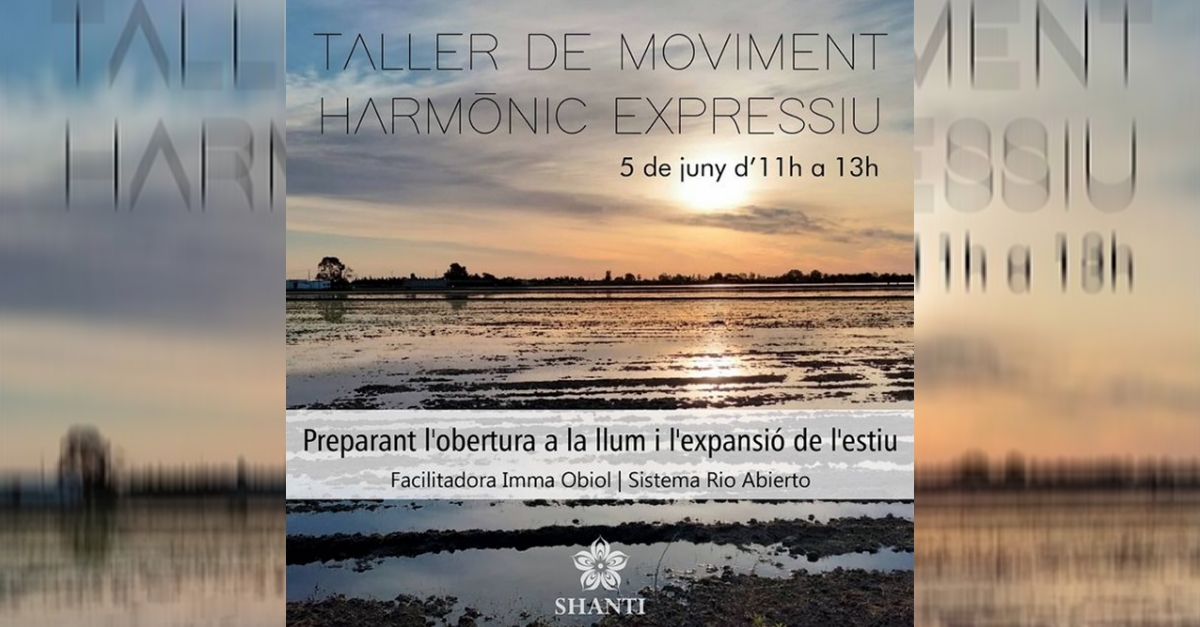 Taller de moviment harmnic expressiu