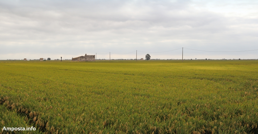 Les Terres de l�Ebre renoven el seu reconeixement com una de les 100 millors destinacions sostenibles del m�n