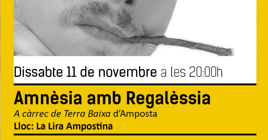 Temporada de Teatre i Dansa Amposta 2017: Amnsia amb Regalssia