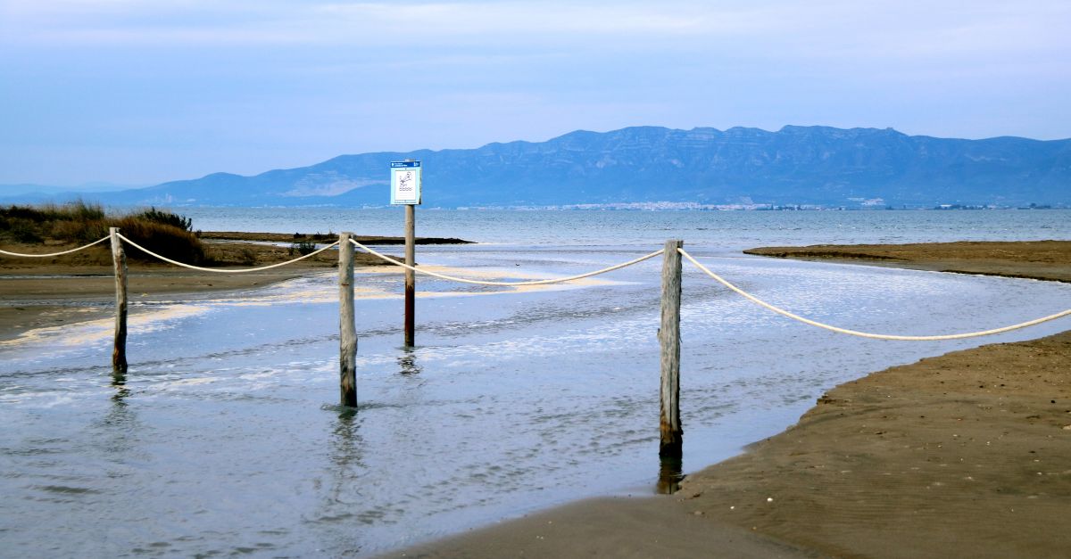 La primera nit de temporal torna a inundar i deixa intransitable la barra del Trabucador