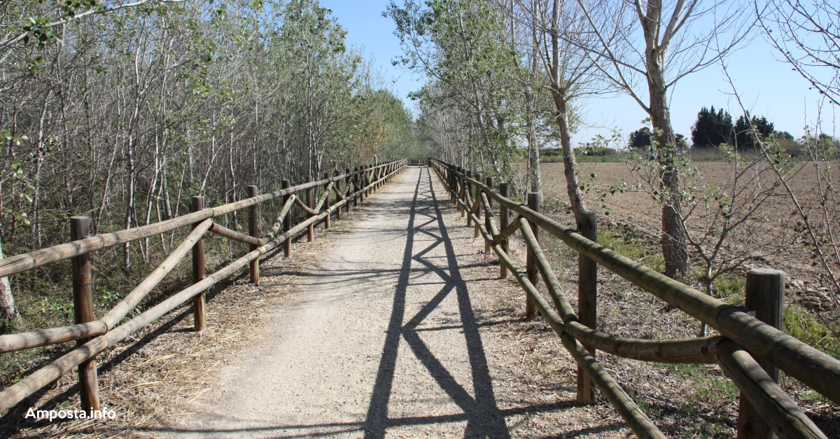 L�alumnat de 4t d�ESO de l�iTec desenvolupen un Projecte de Servei Comunitari sobre el Cam� de Sirga