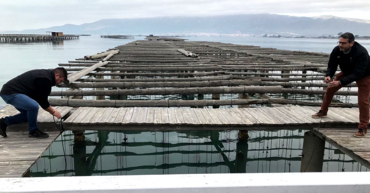 Cultivar macroalgues a les badies del delta de l&rsquo;Ebre �s viable