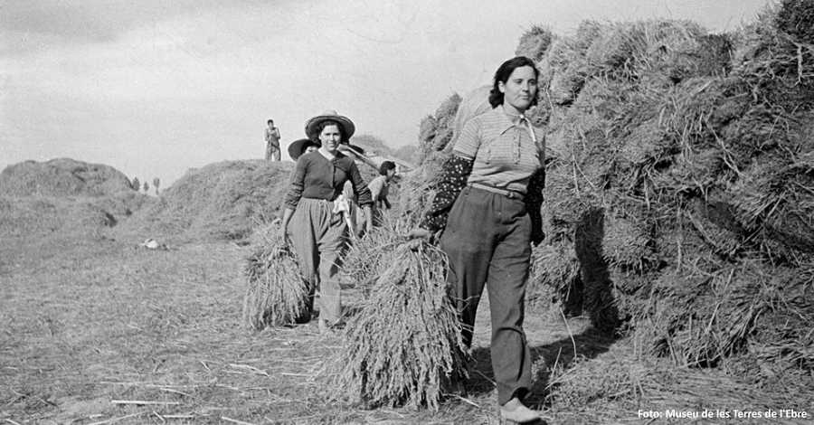 Cultura | Visita guiada a l�exposici� �1937. Quan la ribera no tenia amo. Cr�nica de la Col�lectivitat General d�Amposta�