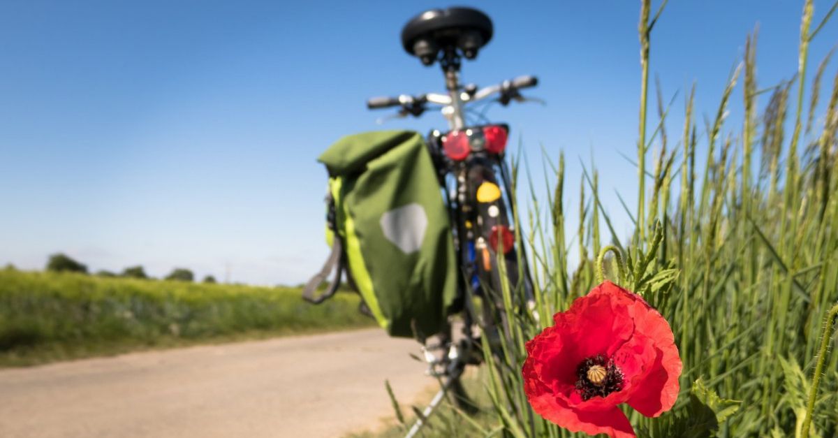 Els Next Generation permetran habilitar una xarxa ciclable entre el pont d�Amposta i els Freginals per l�antiga carretera