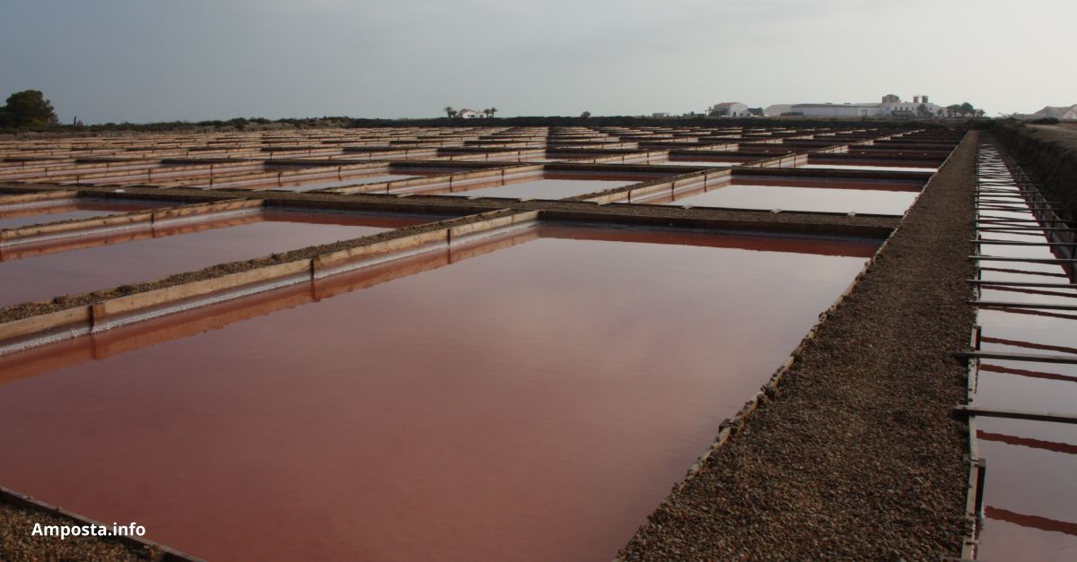 La Xarxa Espanyola de Reserves de la Biosfera reconeix el comprom�s mediambiental de les Salines de la Trinitat