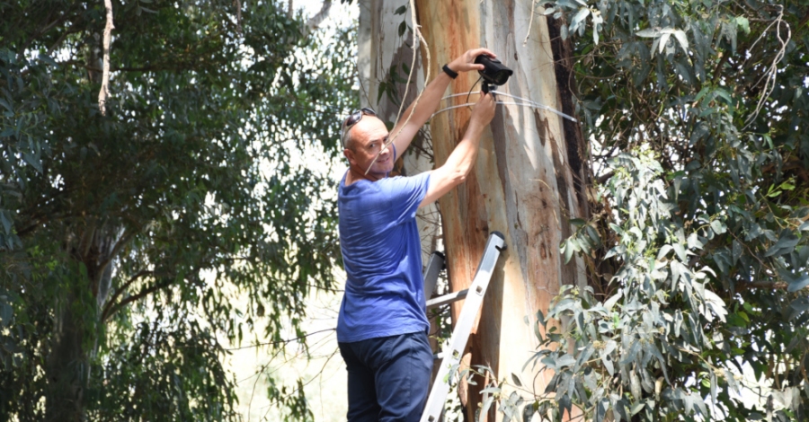 Una xerrada sobre el gambus� clour� la quarta edici� d�XYZ