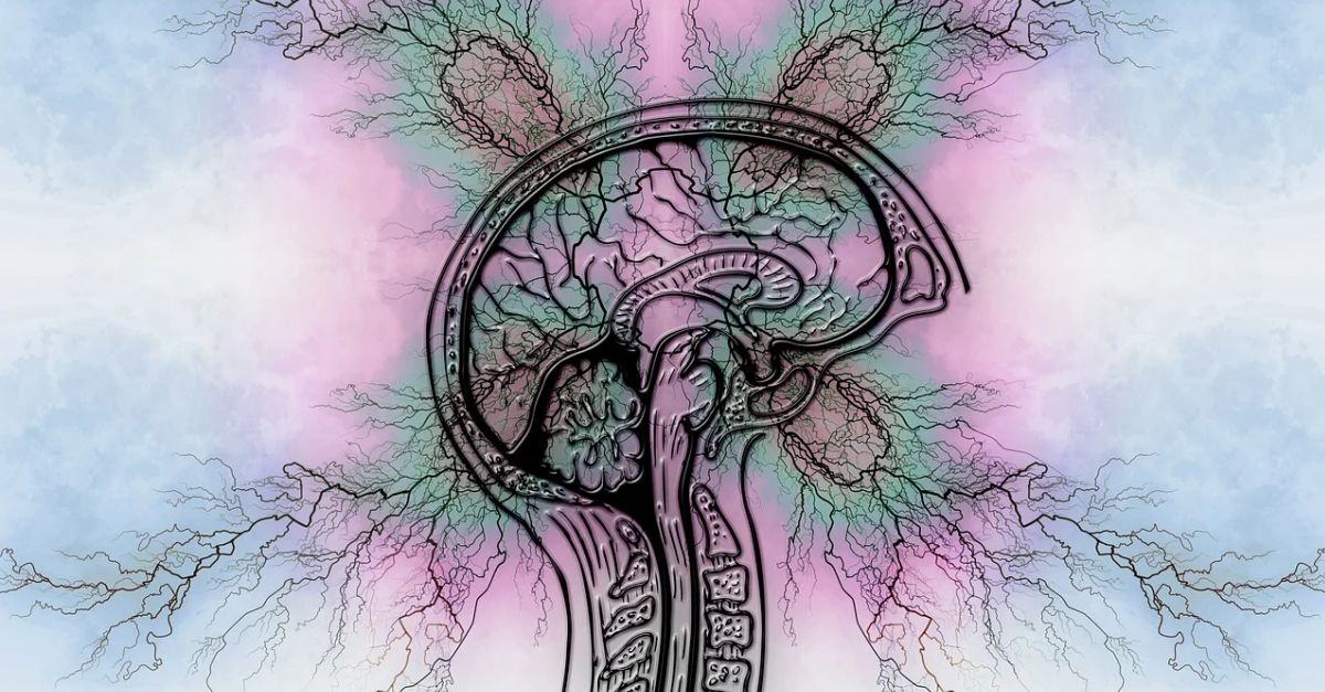 El Museu de les Terres de l�Ebre acull l�exposici� �L�evid�ncia cient�fica del TDAH�